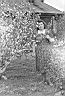 2000-12-09 001022.tif